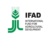 IFAD