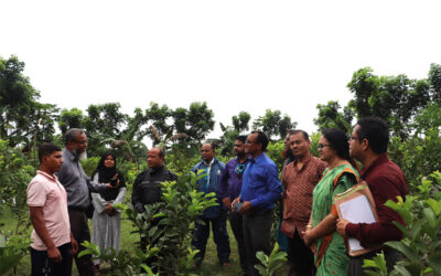 এসডিএস এর বিভিন্ন কার্যক্রম পরিদর্শন